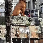 Апартаменты Mon Teranga *
